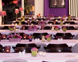 Schlossfestspiele-Revue 2013-055.jpg