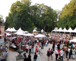 Schlossfestspiele-Revue 2013-115.JPG