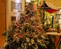 Christmas Party 2017_04_3.jpg