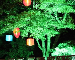 Schlossfestspiele-Revue 2011-058.JPG