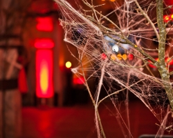 Tanz der Vampire 2016-009.jpg