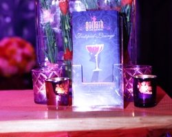 Schlossfestspiele-Revue 2011-032.JPG