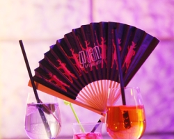 Schlossfestspiele-Revue 2011-067.JPG