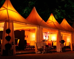 Schlossfestspiele-Revue 2011-082.JPG