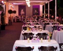 Schlossfestspiele-Revue 2013-042.jpg