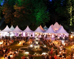 Schlossfestspiele-Revue 2013-074.jpg