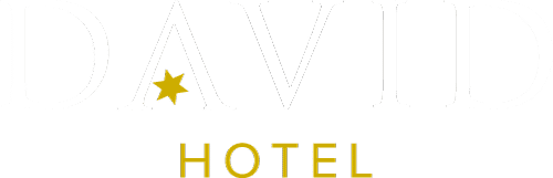 Logo David Hotel Regenburg